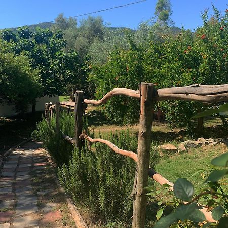 S'Imbragu Farm B&B 托尔托利 外观 照片