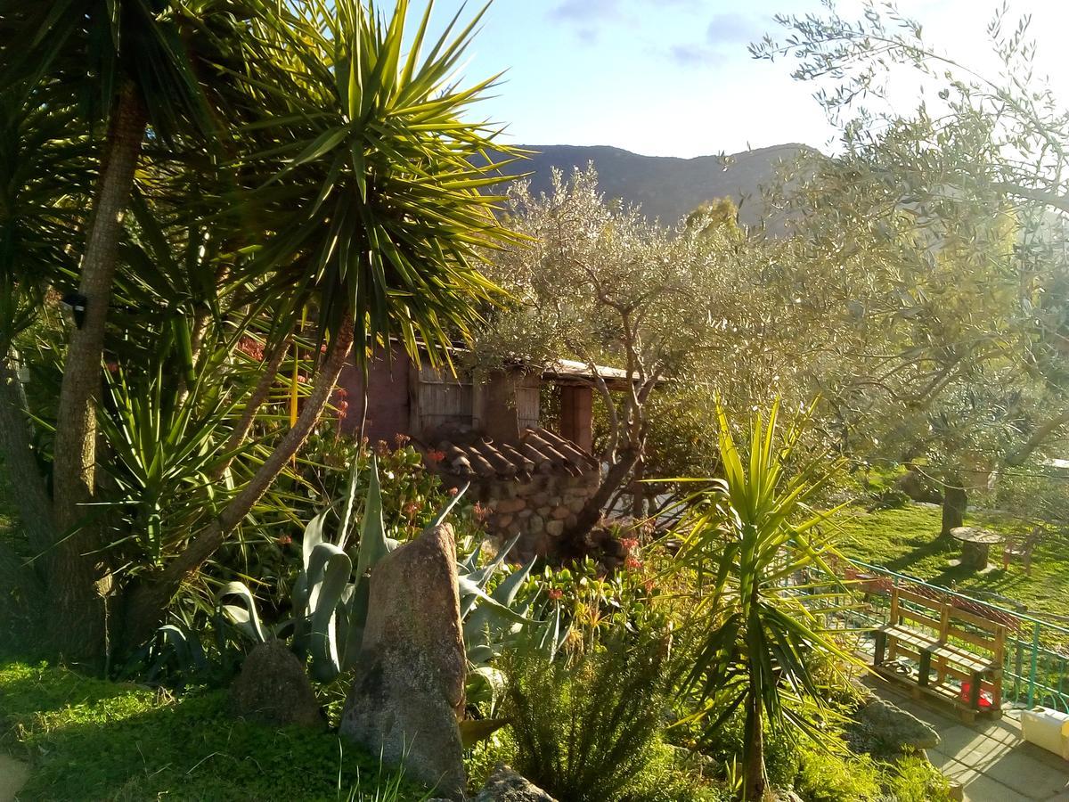 S'Imbragu Farm B&B 托尔托利 外观 照片