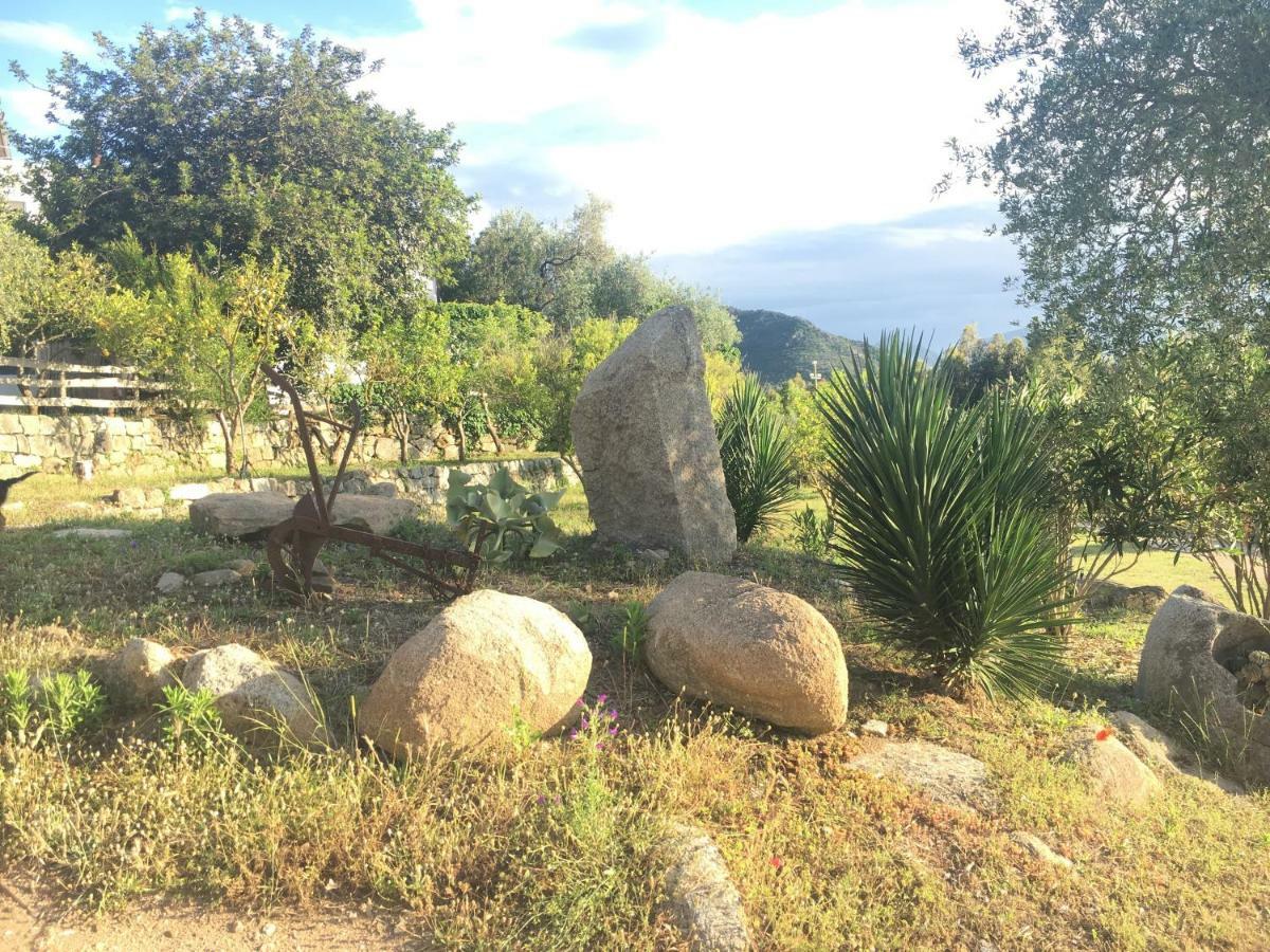 S'Imbragu Farm B&B 托尔托利 外观 照片
