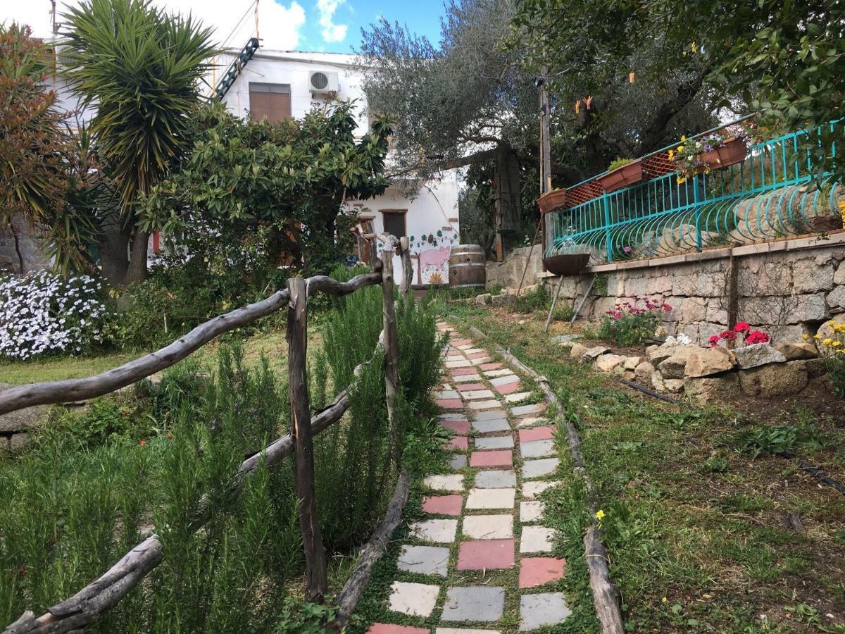 S'Imbragu Farm B&B 托尔托利 外观 照片