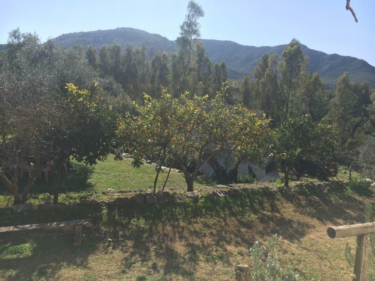 S'Imbragu Farm B&B 托尔托利 外观 照片