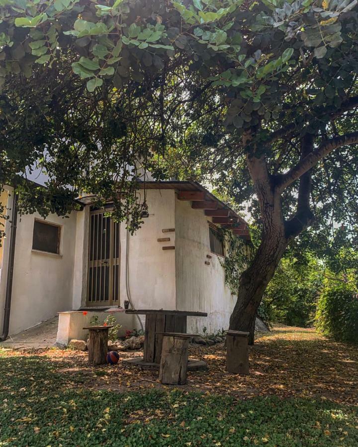 S'Imbragu Farm B&B 托尔托利 外观 照片
