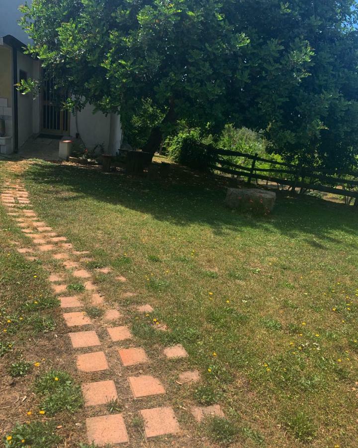 S'Imbragu Farm B&B 托尔托利 外观 照片