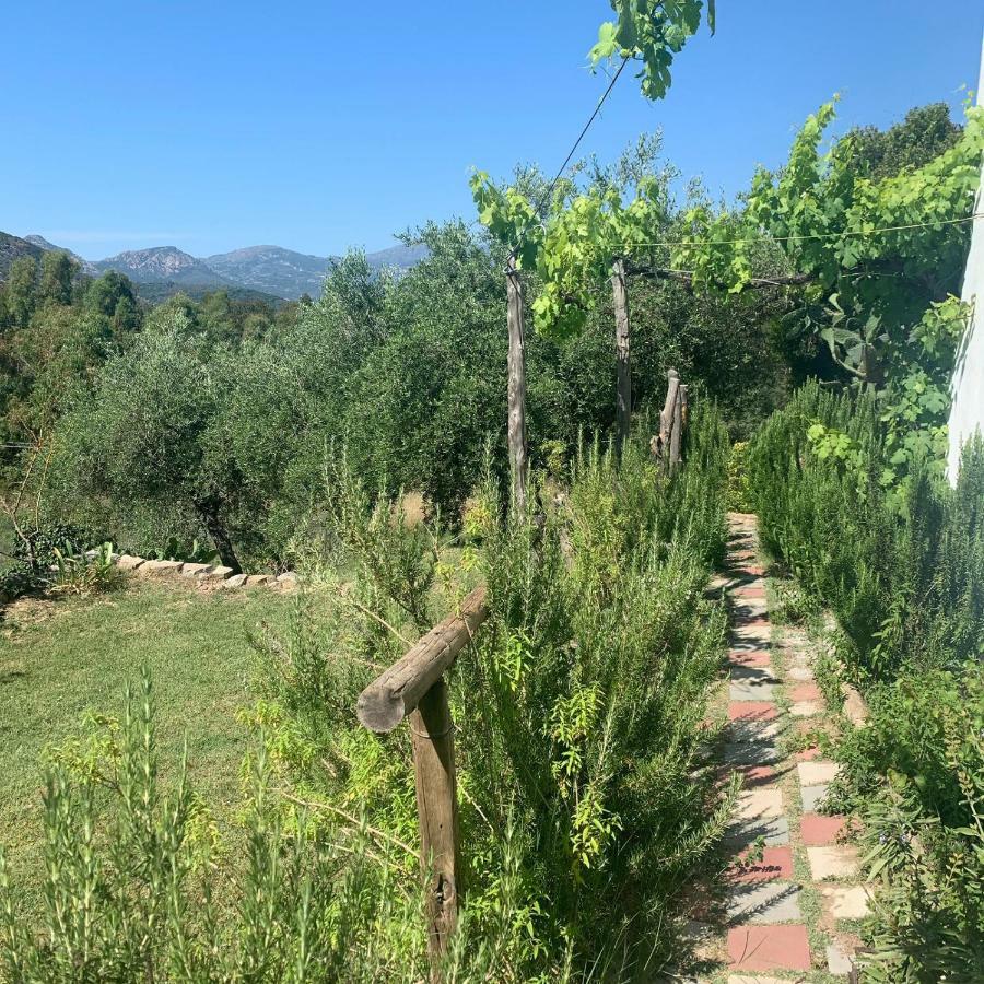 S'Imbragu Farm B&B 托尔托利 外观 照片