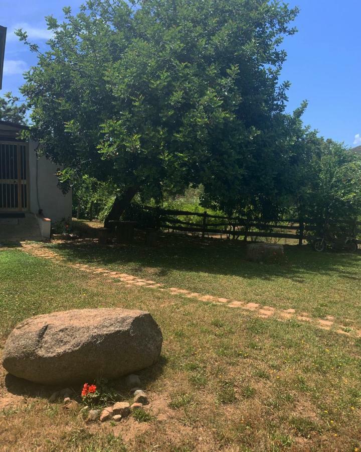 S'Imbragu Farm B&B 托尔托利 外观 照片